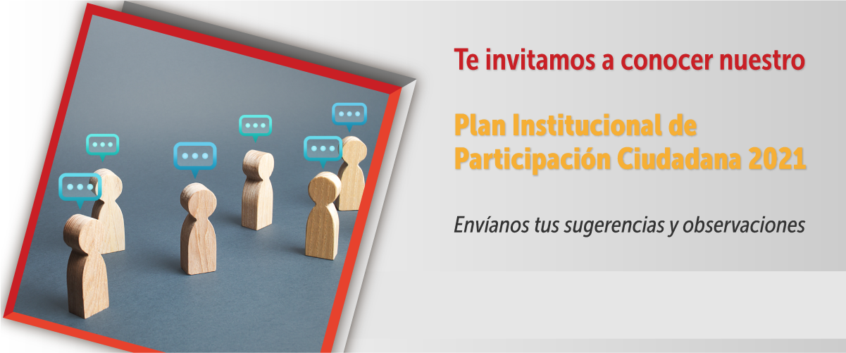 Consulte el Plan Institucional de Participación Ciudadana de la SDH