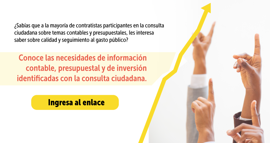 Resultados consulta sobre información contable, presupuestal y de inversión