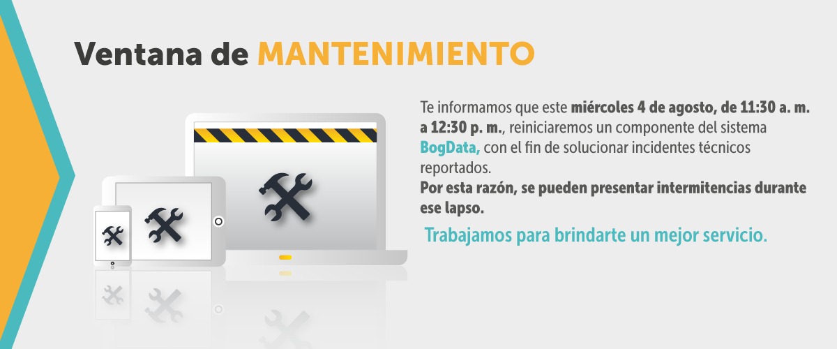 Ventana de mantenimiento componente BogData