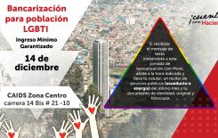 Por primera vez, Distrito realiza jornada presencial de bancarización para población vulnerable de sectores LGBTI