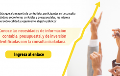 Resultados consulta sobre información contable, presupuestal y de inversión